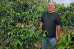 man standing among coffee trees