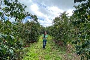 Aroma lady by coffee trees